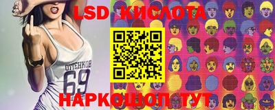 стаф Новозыбков