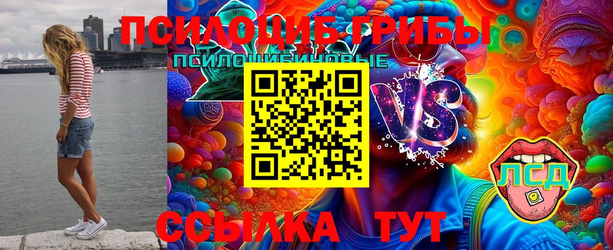 купить закладку  Вход с VPN  Сургут  Галлюциногенные грибы мухоморы  Галлюциногенные грибы Psilocybine cubensis 